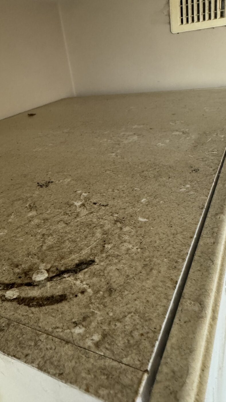Eco steam-cleaning result in a Saskatoon home 15 — Mavely Clean & Gleam