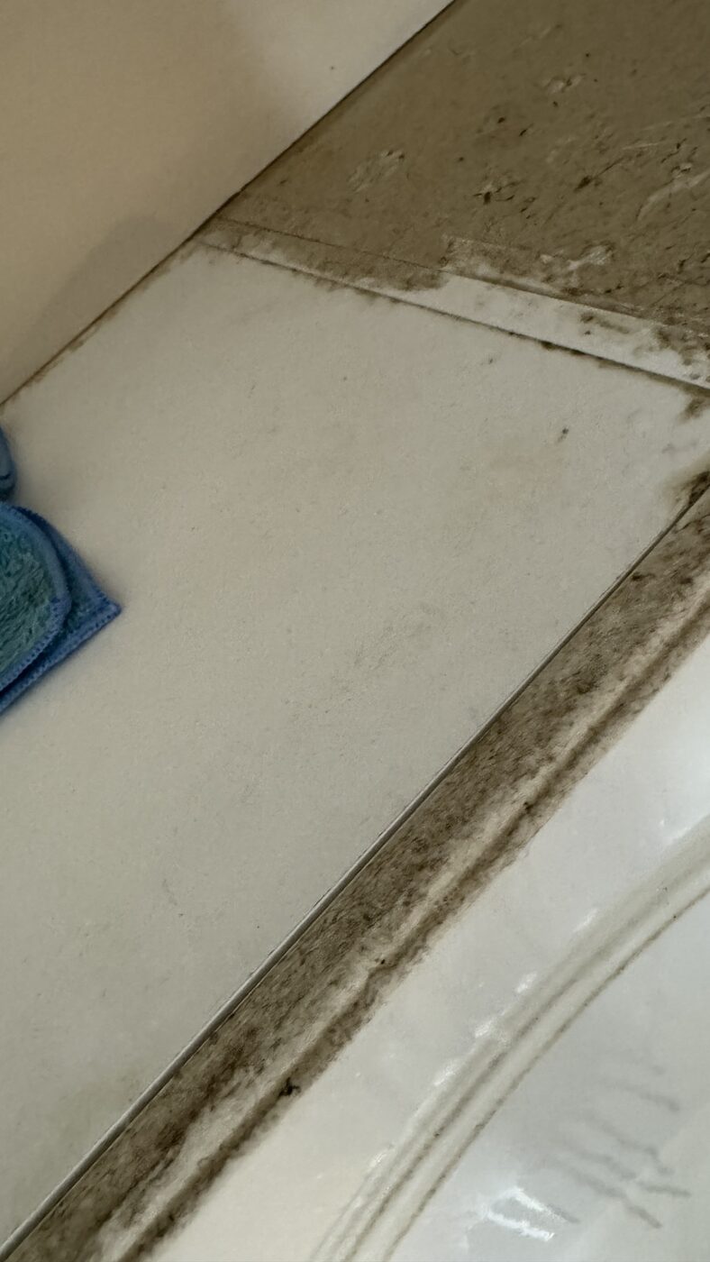 Eco steam-cleaning result in a Saskatoon home 16 — Mavely Clean & Gleam