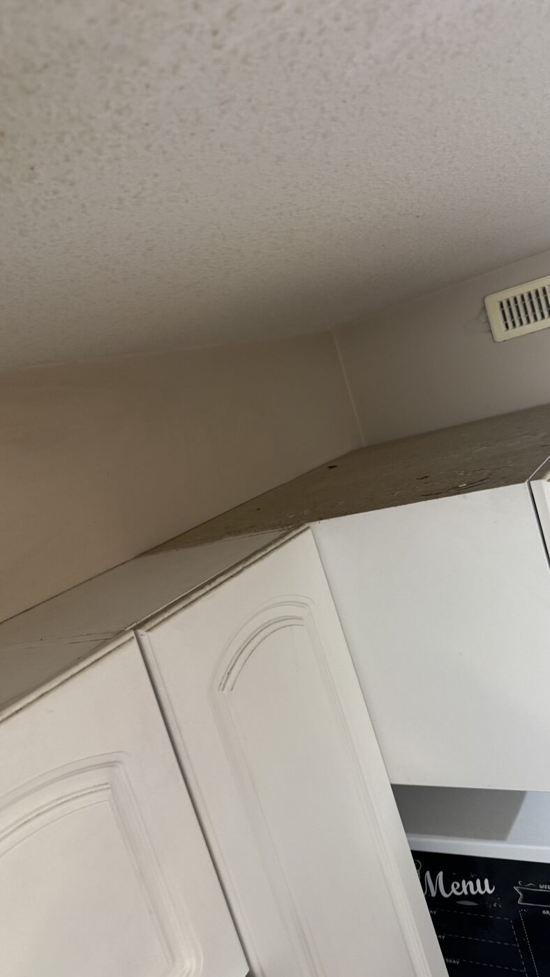 Eco steam-cleaning result in a Saskatoon home 17 — Mavely Clean & Gleam