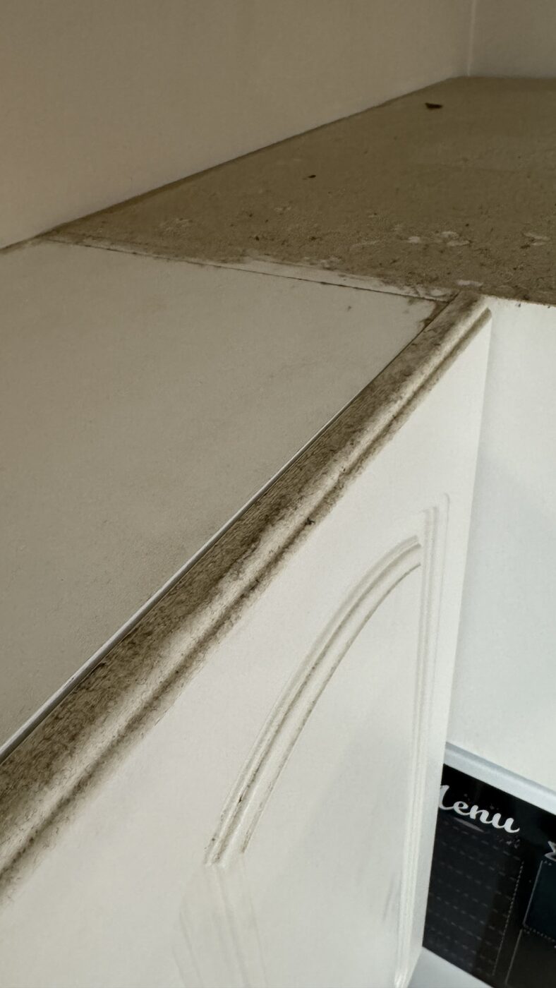 Eco steam-cleaning result in a Saskatoon home 18 — Mavely Clean & Gleam