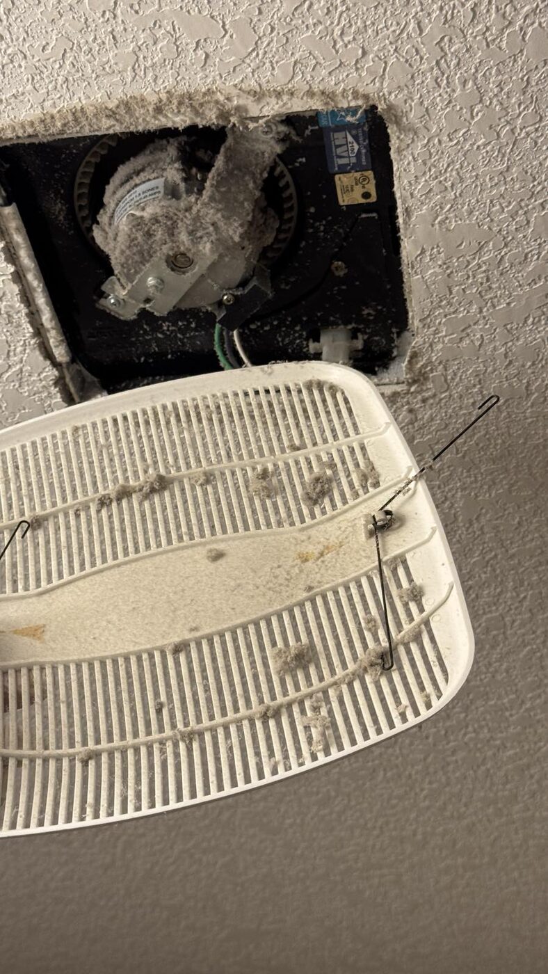 Eco steam-cleaning result in a Saskatoon home 38 — Mavely Clean & Gleam